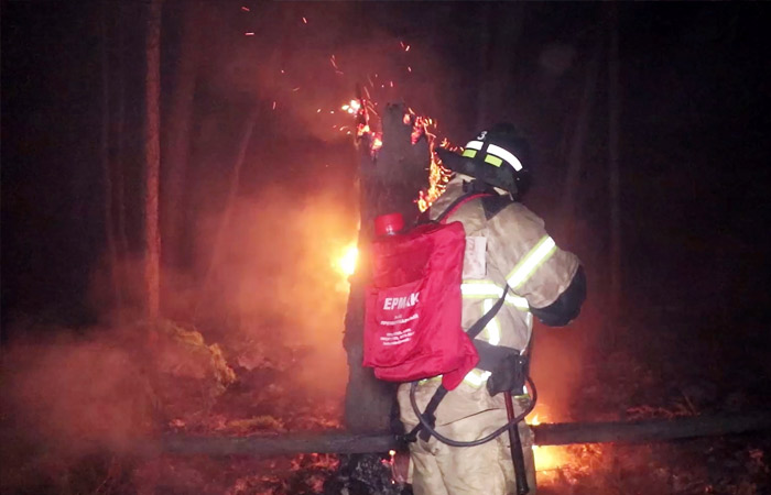 Глава МЧС заявил о неблагоприятном прогнозе по лесным пожарам в РФ