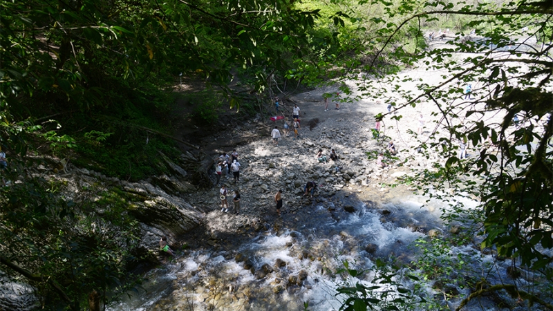 Голикова разъяснила правила посещения Кубани россиянами с медотводом от вакцинации