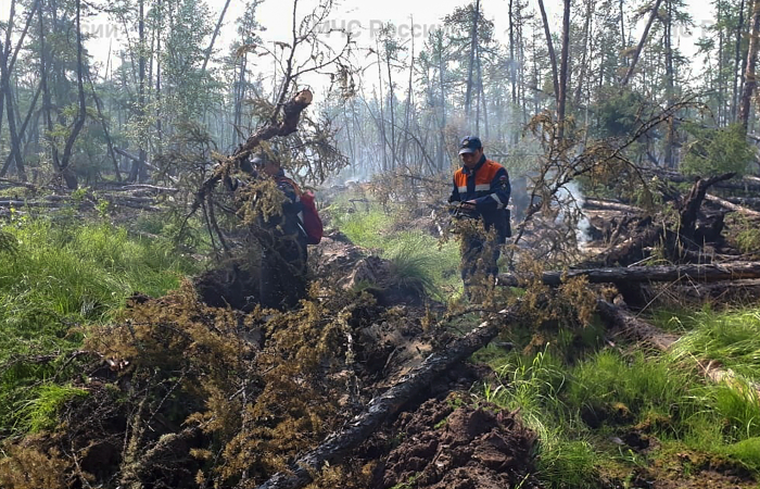 Площадь природных пожаров в Якутии за сутки уменьшилась на 170 тыс. га