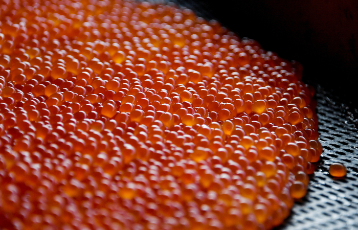 На Камчатке у браконьеров изъяли почти 100 килограммов красной икры