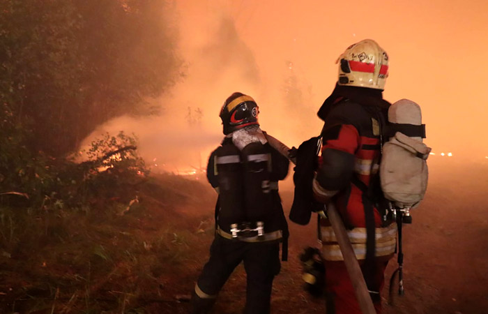 Пожарные спустя месяц смогли потушить крупный пожар в Мордовском заповеднике