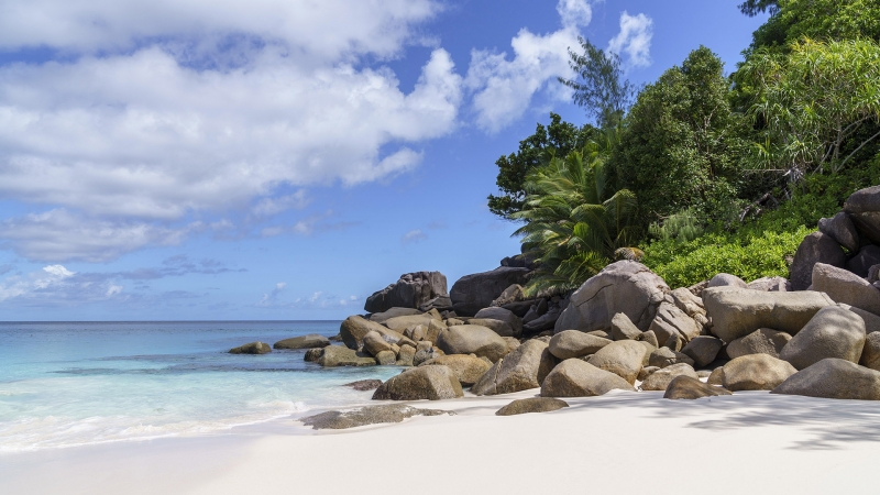 Турпоток из России на Сейшелы побил исторический рекорд