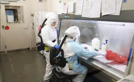 В тбилисском Центре Лугара намечается что-то жуткое: Ждет ли нас пандемия гепатита С?